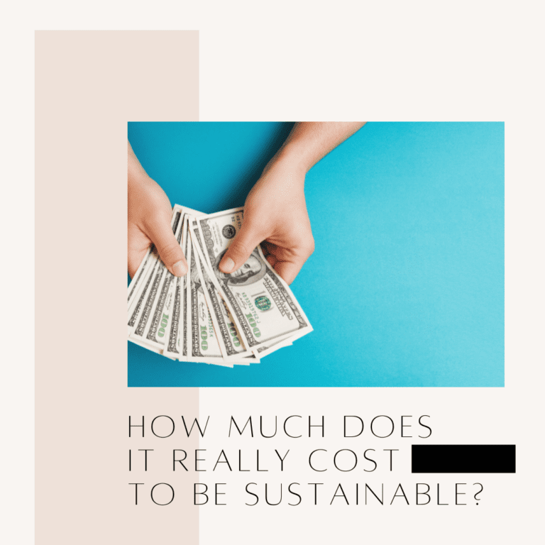 How Much Does It Really Cost To Be Sustainable?