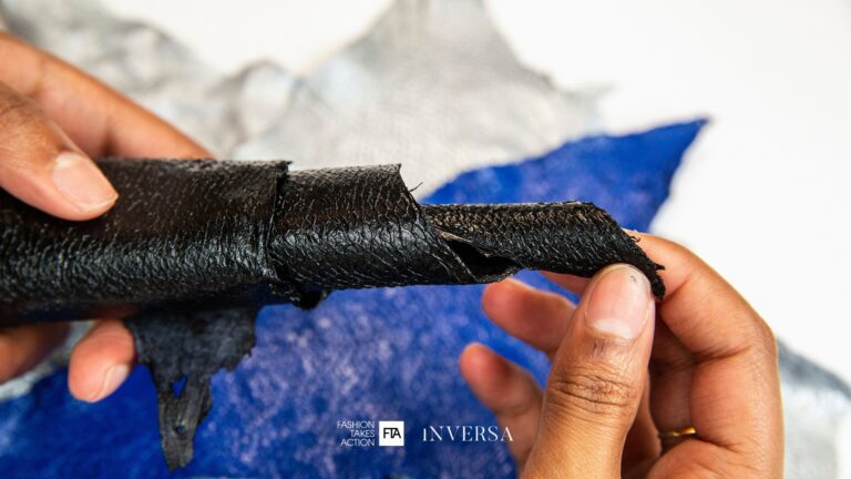 Turning Invasive Species into Luxury Leathers with INVERSA
